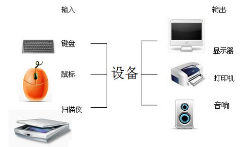 計算機輸入設備 人機交互的橋梁與數據采集的起點